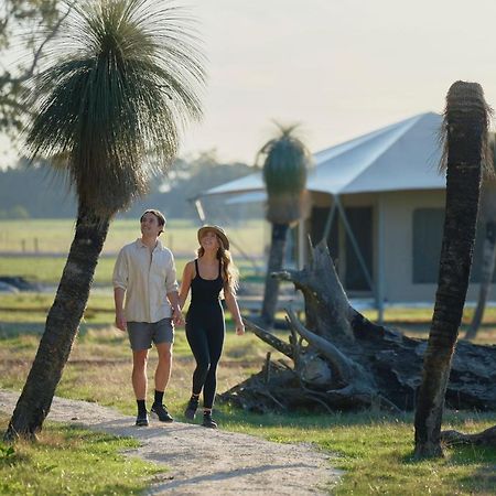 Willow Wood Glamping Retreat Broadwater Exterior foto